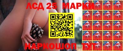 spice Малоярославец