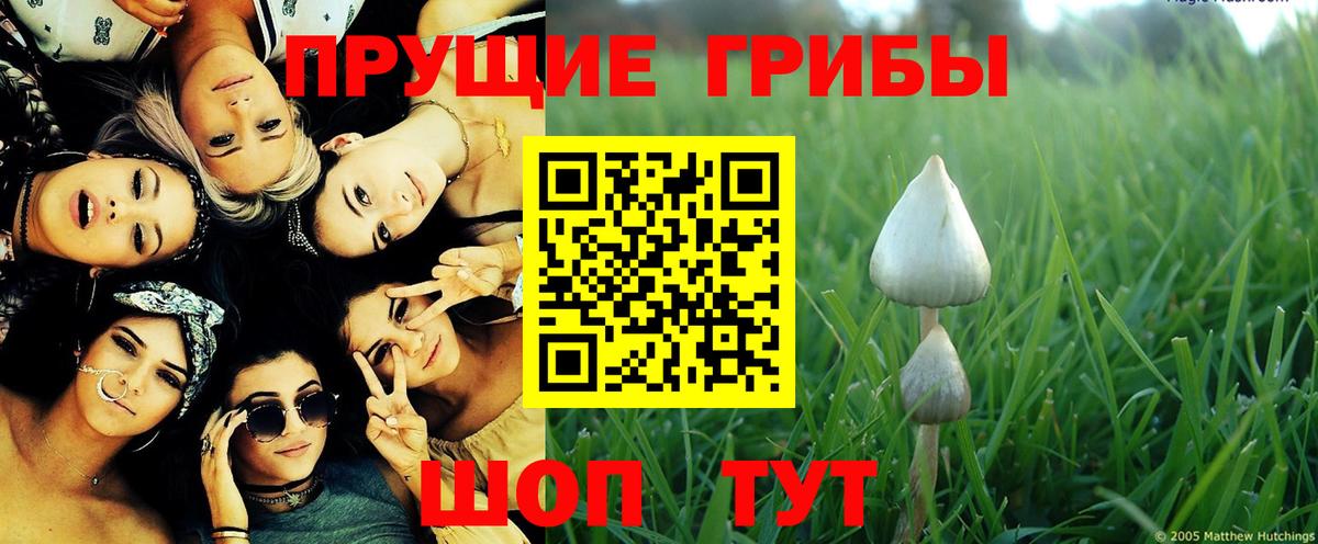 Псилоцибиновые грибы Cubensis  Вход с VPN  Невинномысск 